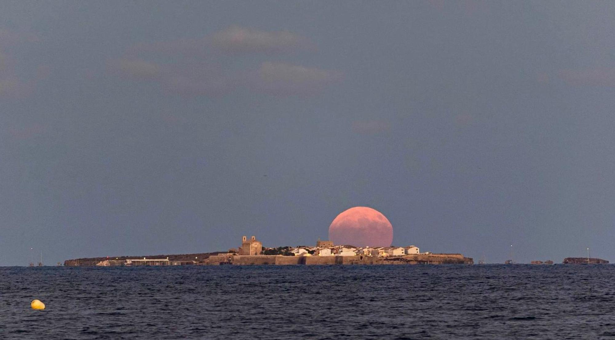 Appartamento Refugio Del Mar Santa Pola Esterno foto